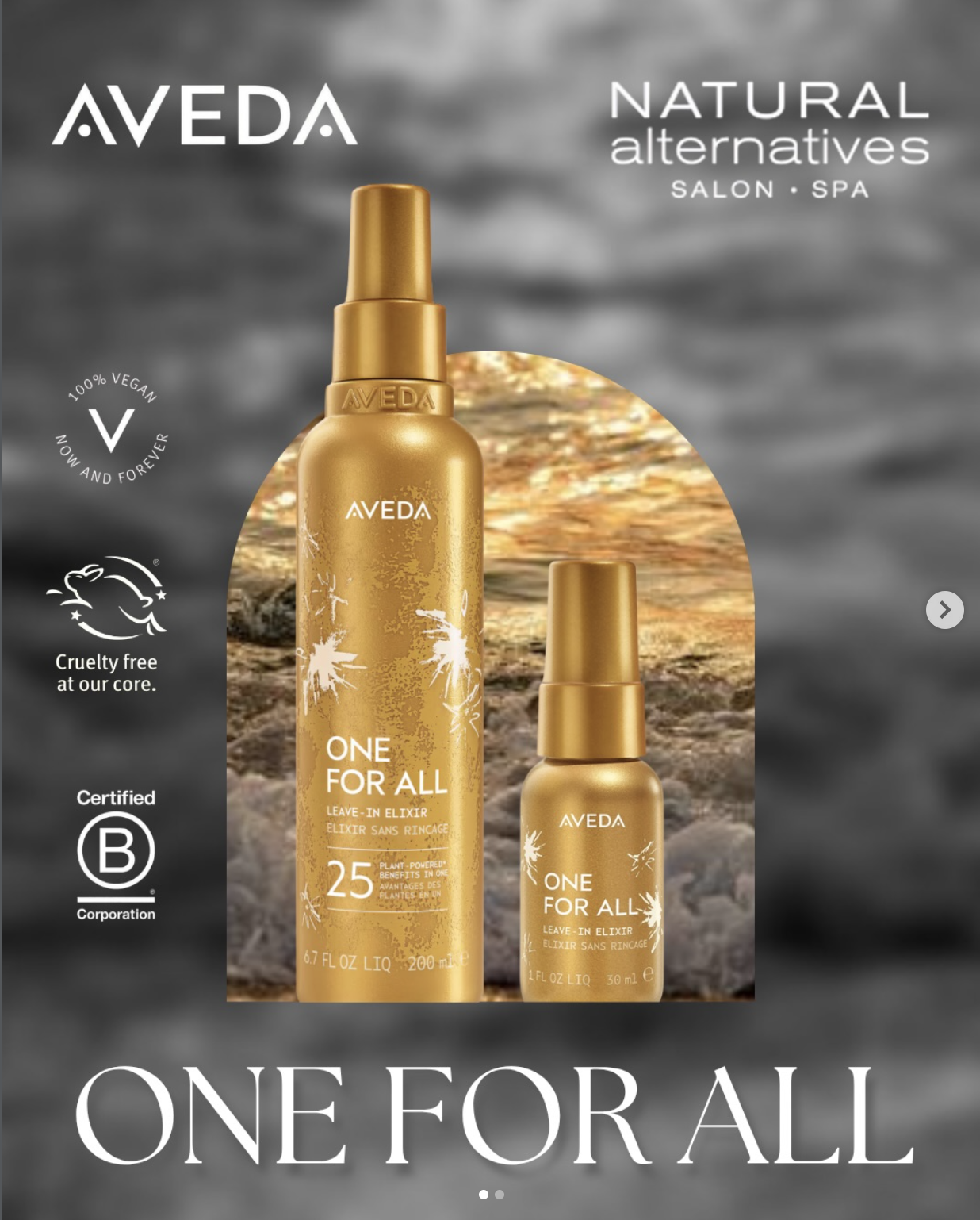 Two gold Aveda “One for All” hair elixir bottles are displayed with text highlighting vegan, cruelty-free, and B Corporation certifications, and Natural Alternatives Salon + Spa branding.